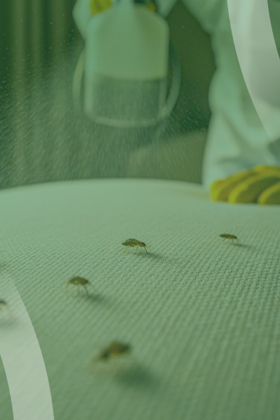 service slide 1+ (400 x 600)