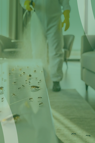 service slide 10+ (400 x 600)