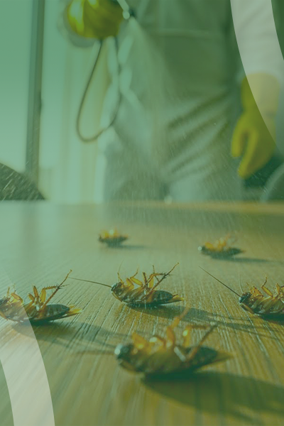 service slide 2 (400 x 600)