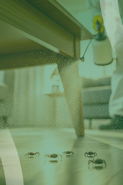 service slide 4+ (400 x 600)