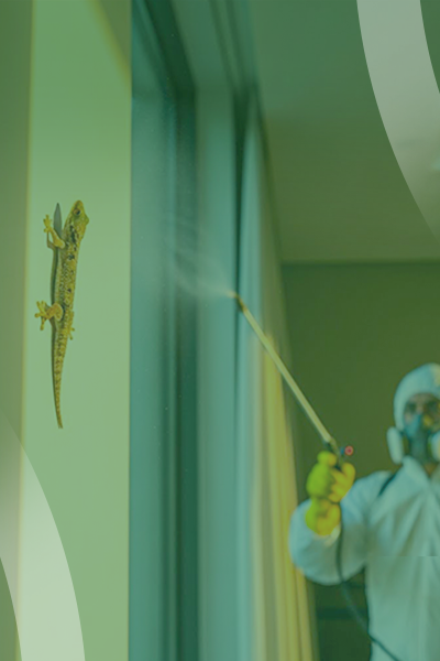 service slide 5 (400 x 600)