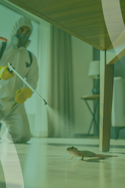 service slide 5+ (400 x 600)