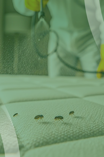 service slide 6+ (400 x 600)