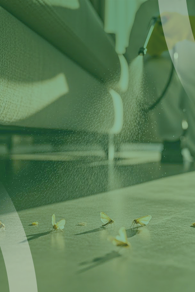 service slide 7+ (400 x 600)