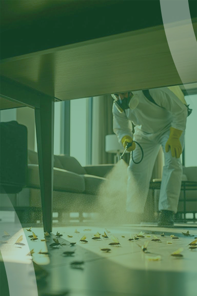 service slide 7 (400 x 600)