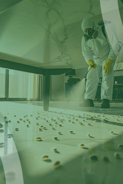 service slide 8+ (400 x 600)