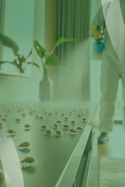 service slide 8 (400 x 600)