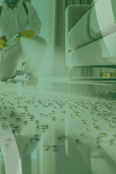 service slide 9+ (400 x 600)