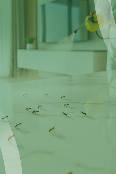 service slide 9 (400 x 600)