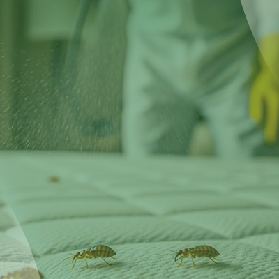 service slide 1 (400 x 600)