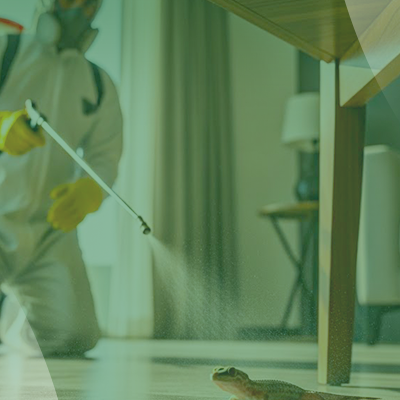 service slide 5+ (400 x 600) (1)