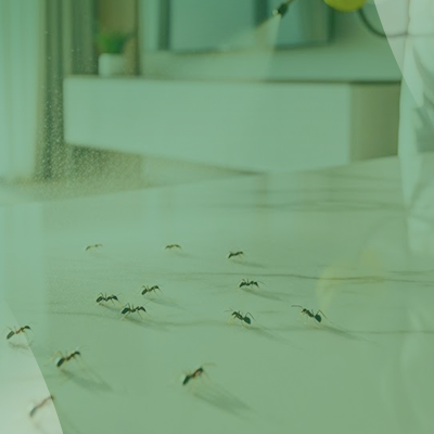 service slide 9 (400 x 600)